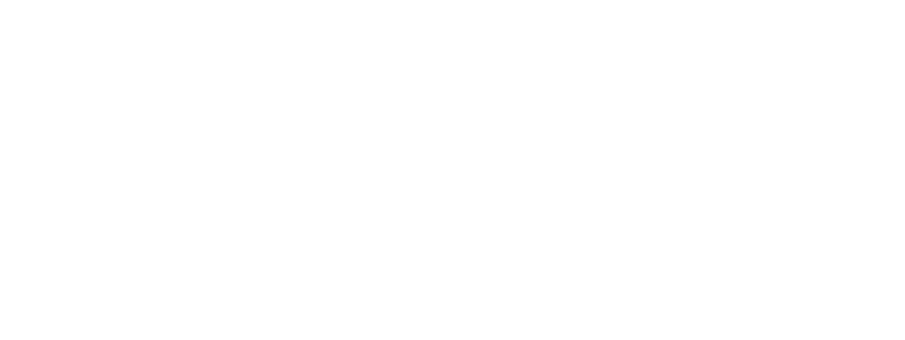 NERDIENCE Logo